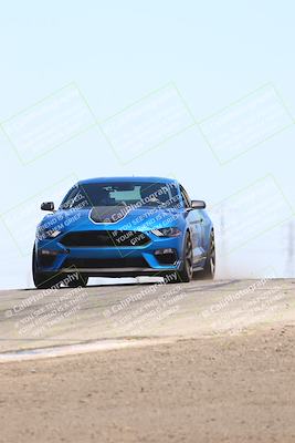 media/Jul-26-2025-Speed Ventures (Sat) [[fe569e6cf0]]/Black Group/Grapvine/